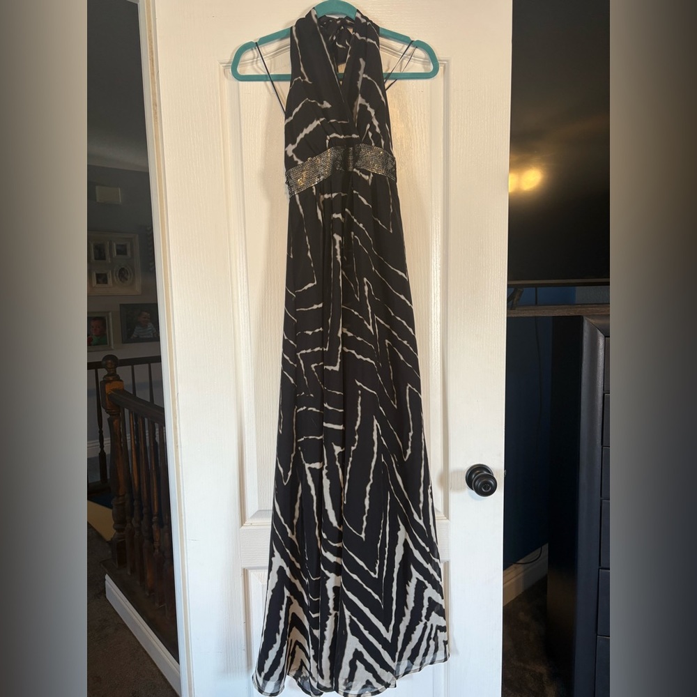 Express Zebra Print Maxi Dress